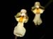 Rodrigueziopsis_microphyton