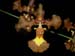 Oncidium_praetextum