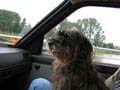 DSCN9967_klein