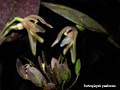 DSCN1235_klein
