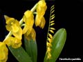 DSCN2209_klein