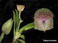 DSCN2392_klein
