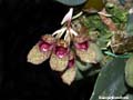DSCN2979_klein