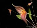 DSCN3583_klein