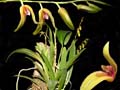 DSCN6634_klein