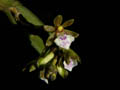 DSCN7464_klein