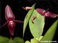 DSCN8058_klein