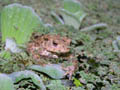 DSCN0101_klein
