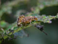 DSCN0468_klein