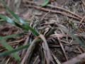 DSCN1254_klein