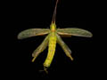 DSCN1281_klein