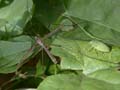 DSCN2061_klein
