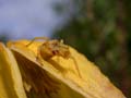 DSCN2123_klein