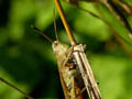 DSCN2355_klein