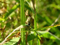 DSCN2397_klein