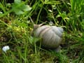 DSCN3509_klein