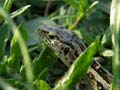 DSCN5401_klein