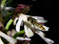 DSCN6401_klein