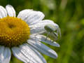 DSCN6405_klein