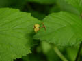 DSCN7494_klein