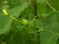 DSCN7772_klein