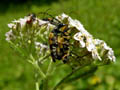 DSCN7814_klein