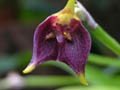 DSCN9583_klein