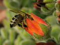 DSCN9607_klein