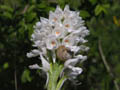 DSCN5295_klein