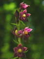 DSCN7513_klein