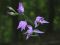 DSCN7520_klein