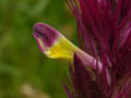 DSCN7587_klein