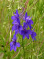 DSCN7633_klein