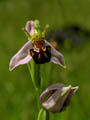 DSCN7795_klein
