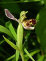 DSCN7803_klein