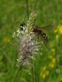DSCN7852_klein