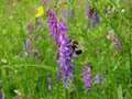 DSCN9803_klein
