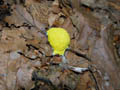DSCN0047_klein