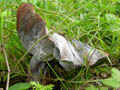 DSCN7846_klein