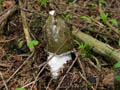 DSCN9843_klein