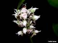 DSCN1661_klein