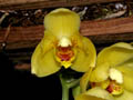 DSCN2120_klein