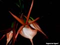 DSCN2300_klein