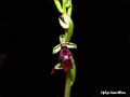 DSCN2335_klein