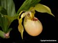 DSCN2633_klein