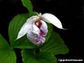 DSCN2635_klein