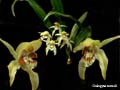 DSCN2670_klein