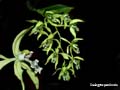 DSCN2737_klein