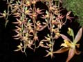 DSCN3454_klein