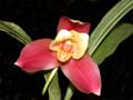 DSCN3703_klein